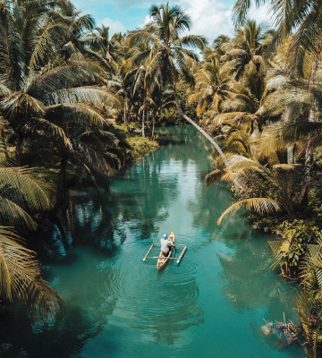 Island with coconut trees and crystal clear water