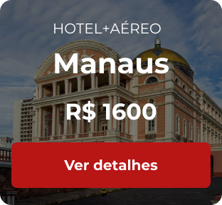 travel offer to Manaus
