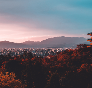 Kyoto city seen from afar, with red flowers closer up