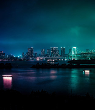illuminated night in Tokyo